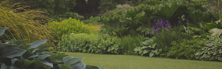 Inspiration Jardin