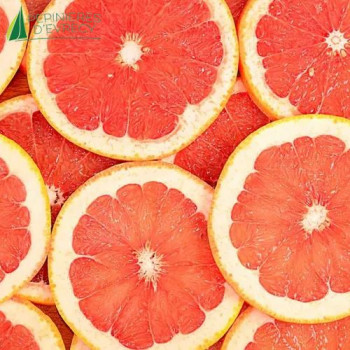 CITRUS paradisi Rio red