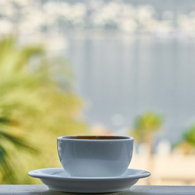 Un jardin sur votre balcon