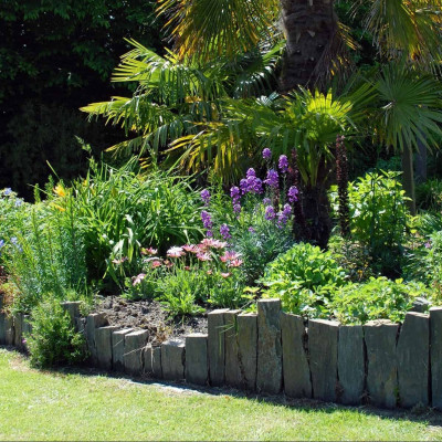 Le massif de plantes