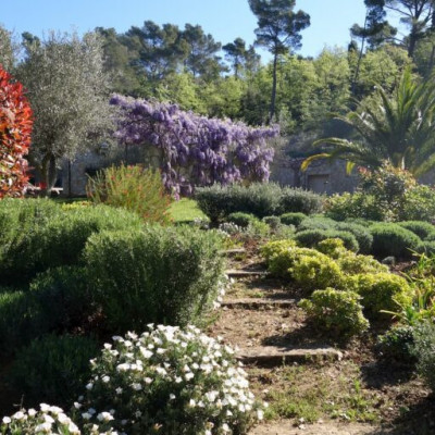 Le jardin méditerranéen