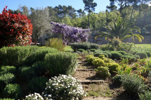 Le jardin méditerranéen